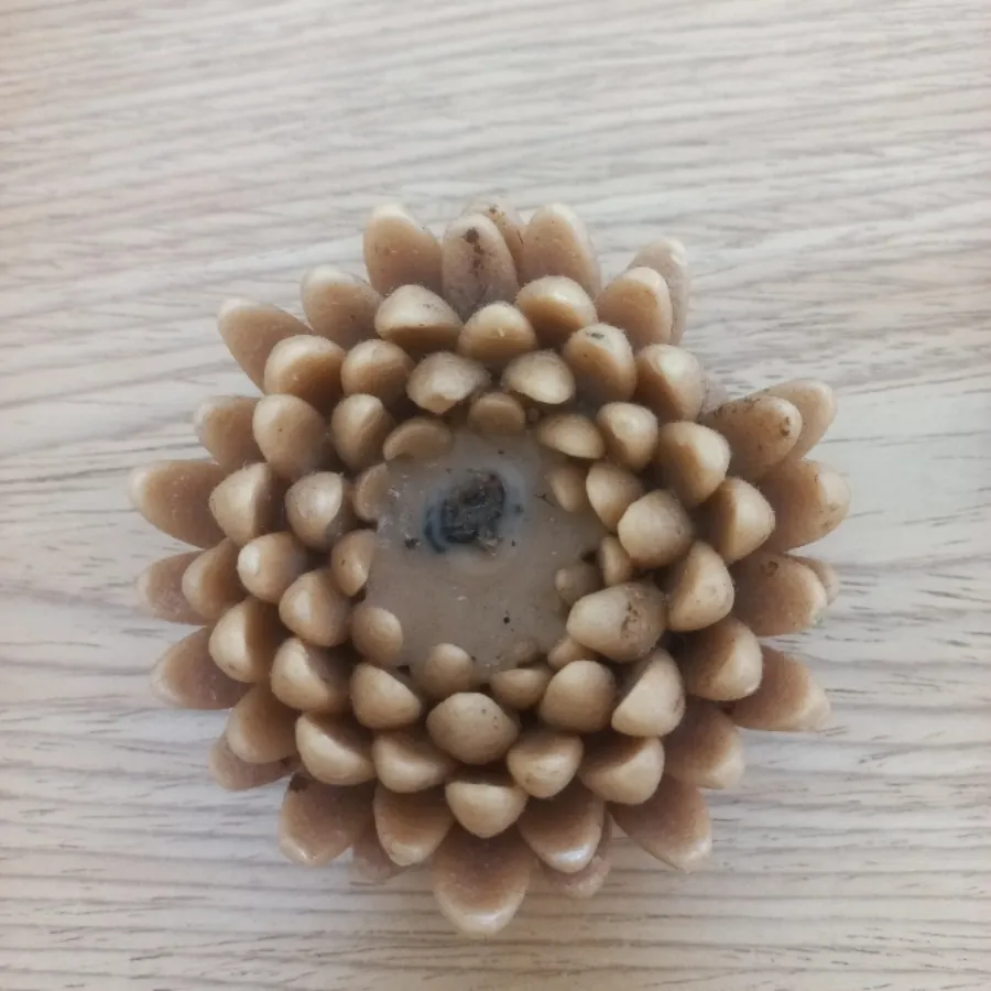 شمع طرح گل نسکافه ای