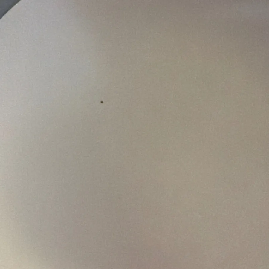 پیش دستی سرامیک کاردست