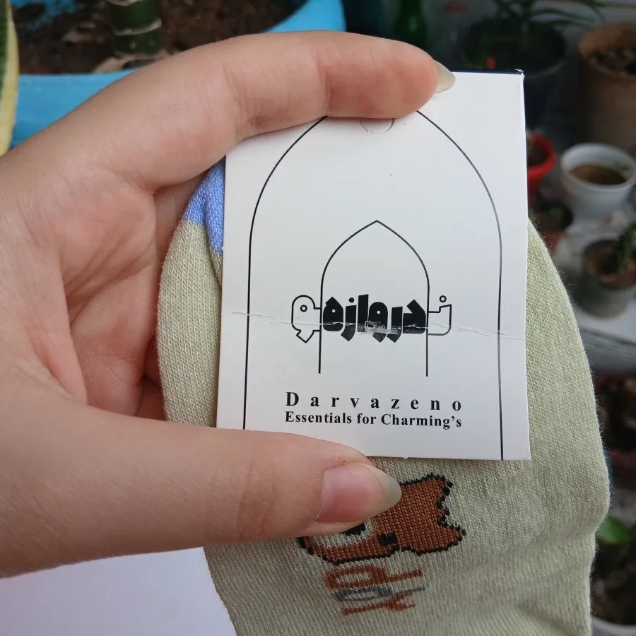 جوراب تدی