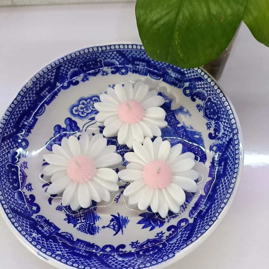 شمع بابونه