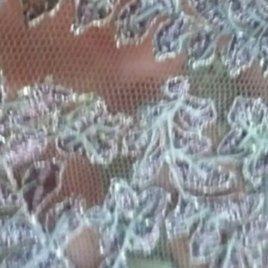گیپور کار شده