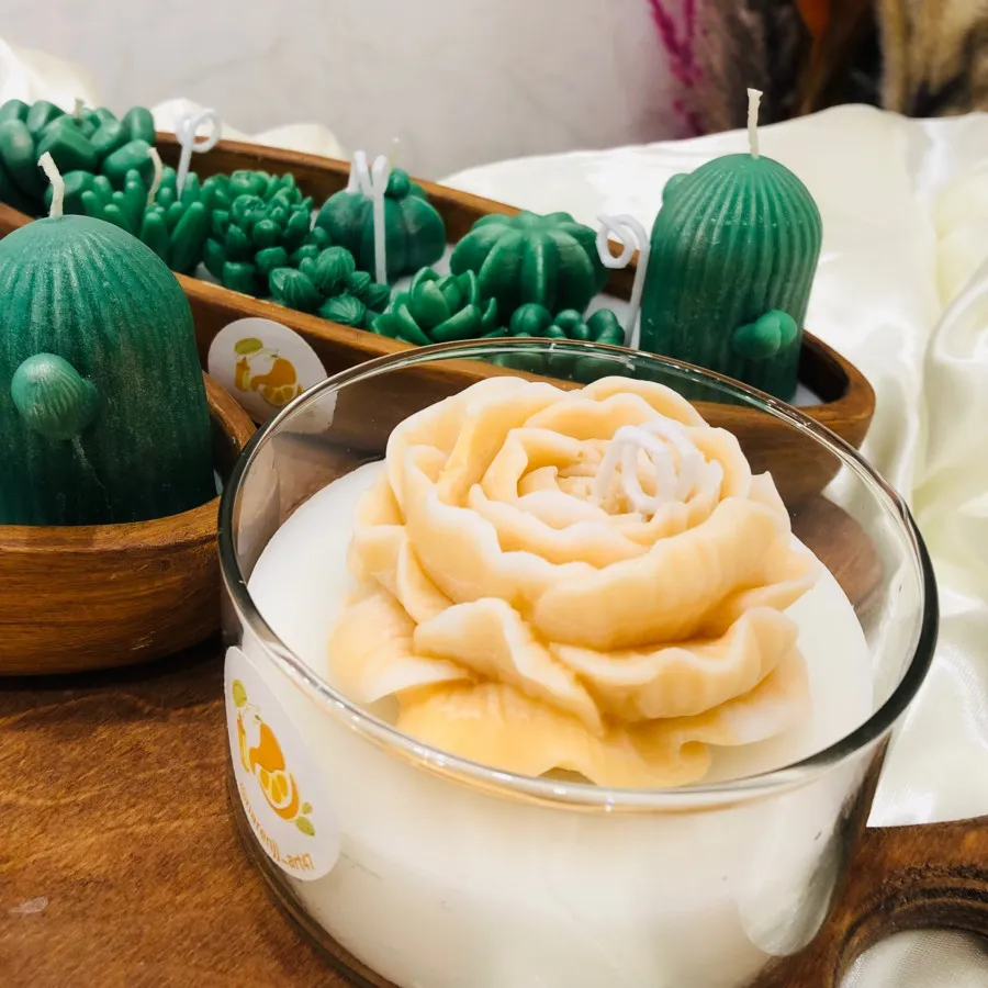 مزرعه کاکتوس?