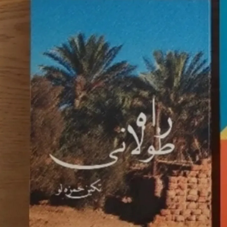 4تا کتاب  رمان و روانشناس