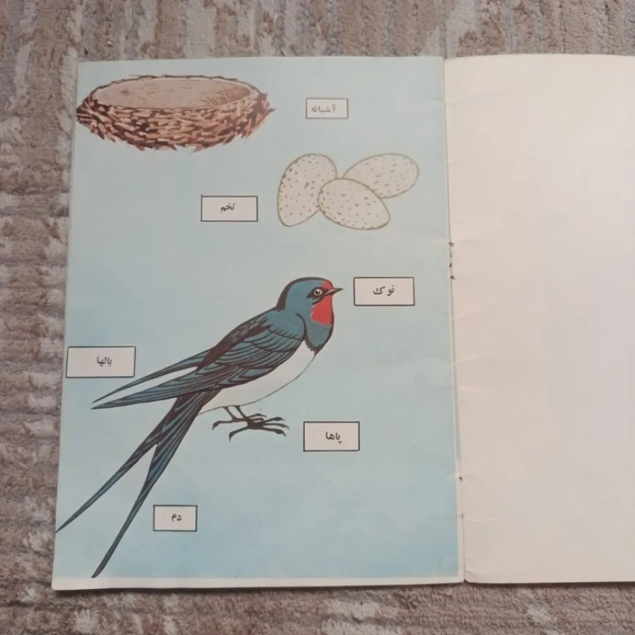 کتاب نوستالژی و قدیمی