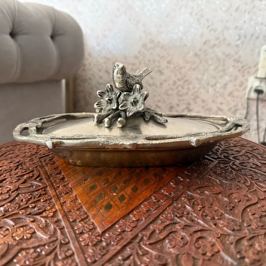 شکلاتخوری در دار مپکو