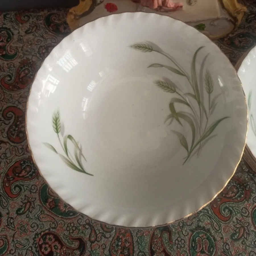 کاسه آبگوشتی