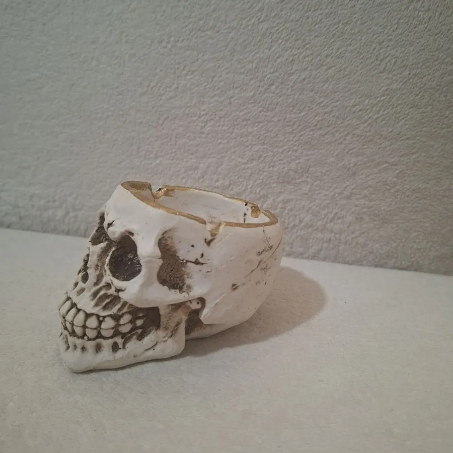 ظرف