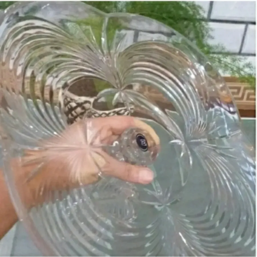 میوه خوری پایه دار کریستا