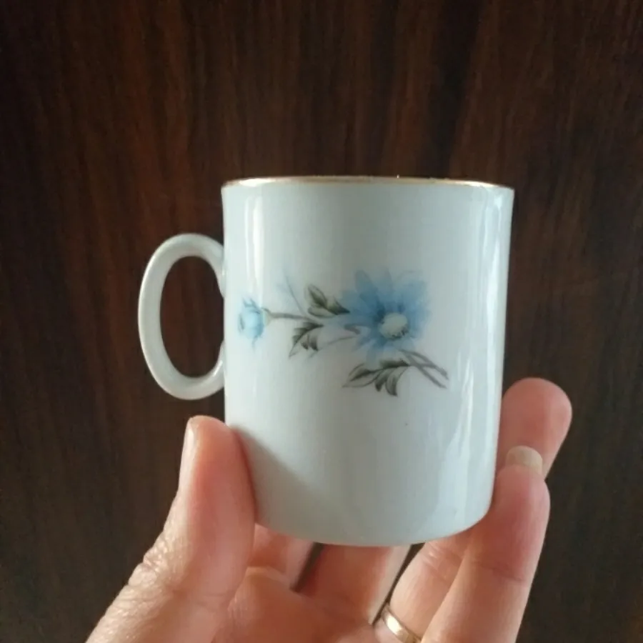 فنجان و نعلبکی چینی کاغذی