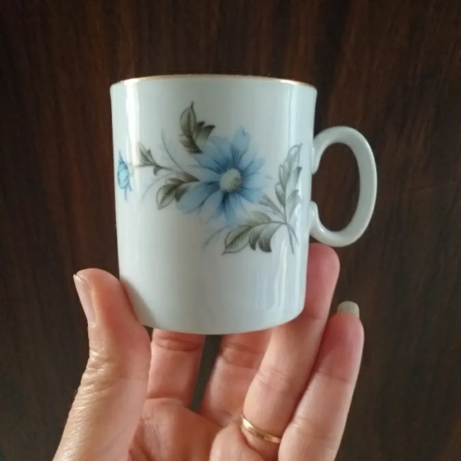 فنجان و نعلبکی چینی کاغذی