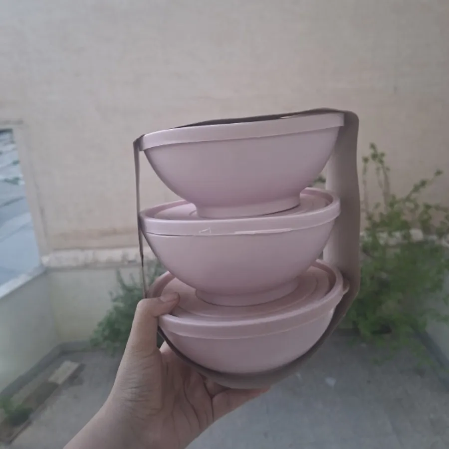 ظرف نگهدارنده
