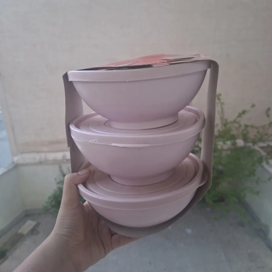 ظرف نگهدارنده