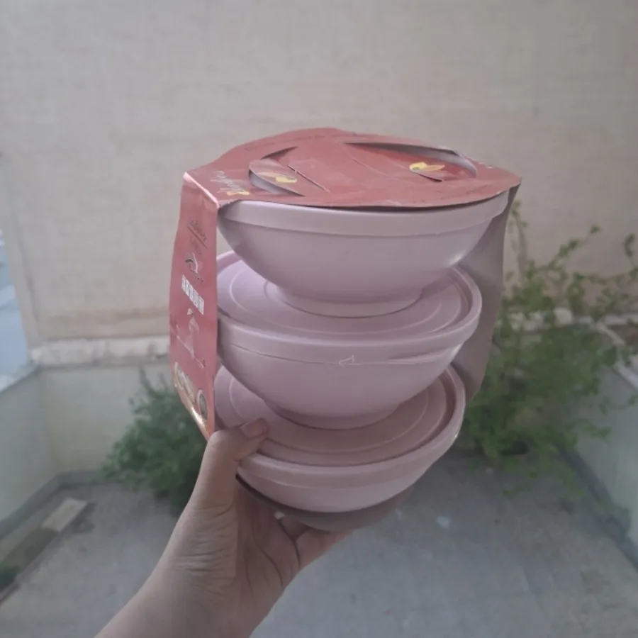 ظرف نگهدارنده
