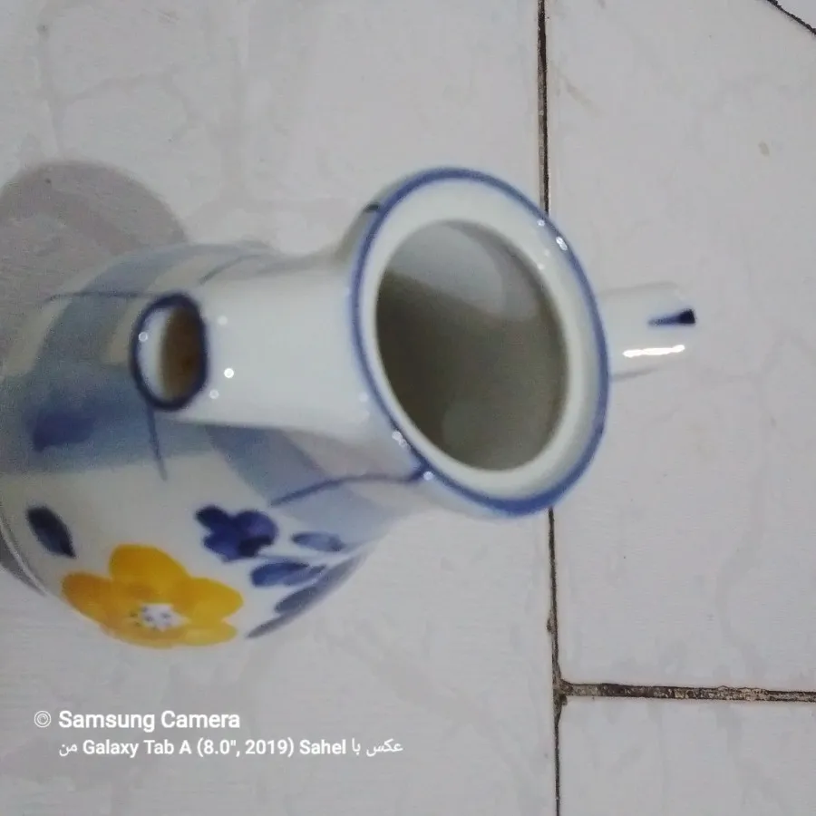 یک جفت سس خوری گل پنبه ای