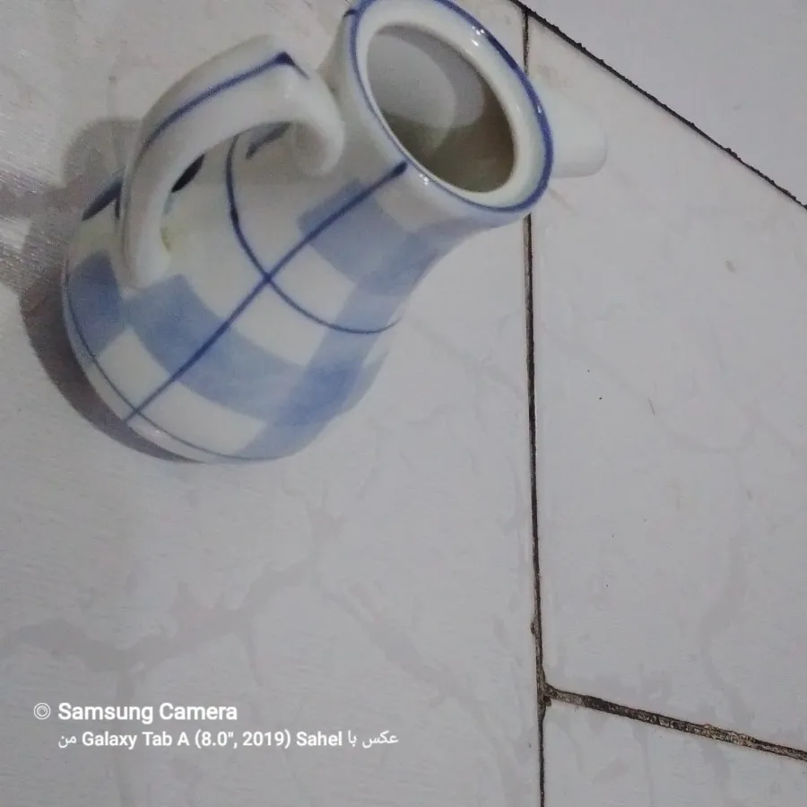 یک جفت سس خوری گل پنبه ای