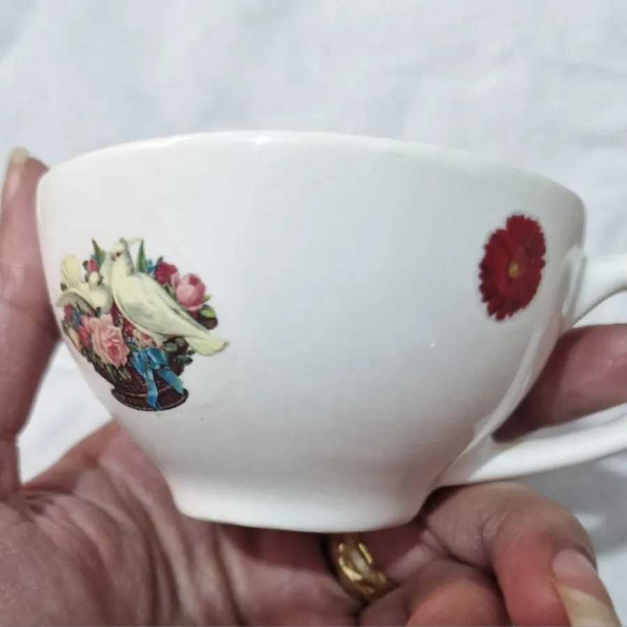 فنجان قهوه خوری کیوت
