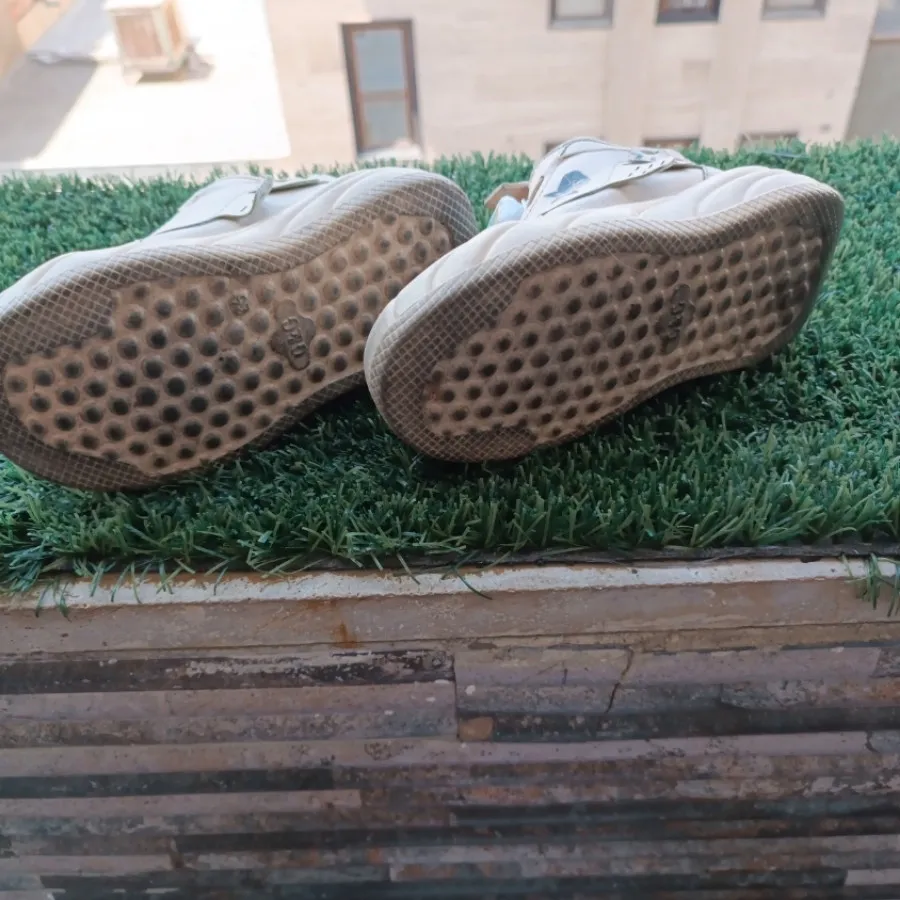 کفش دیسکی