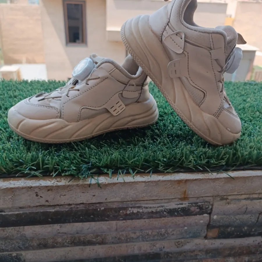 کفش دیسکی