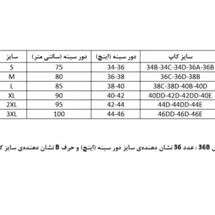 بادی