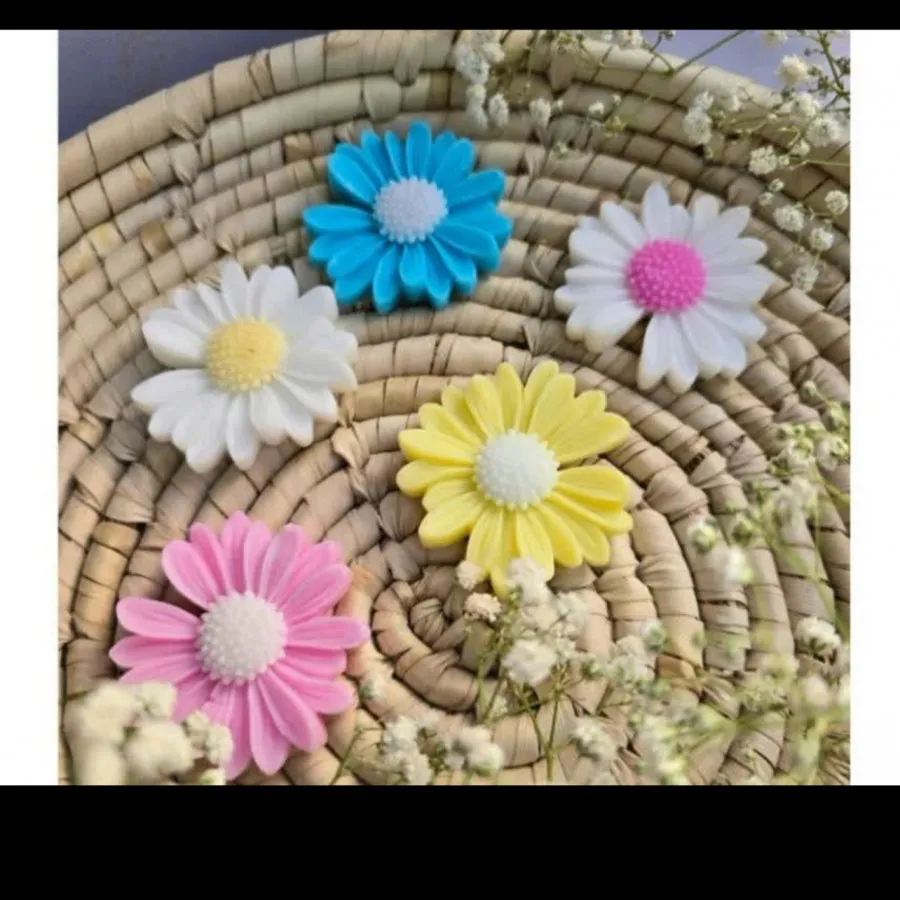 استندکل بابونه و ارکیده