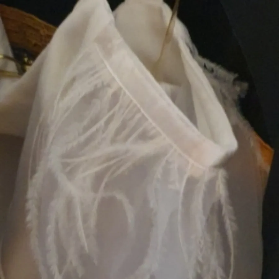 نیم تنه مجلسی