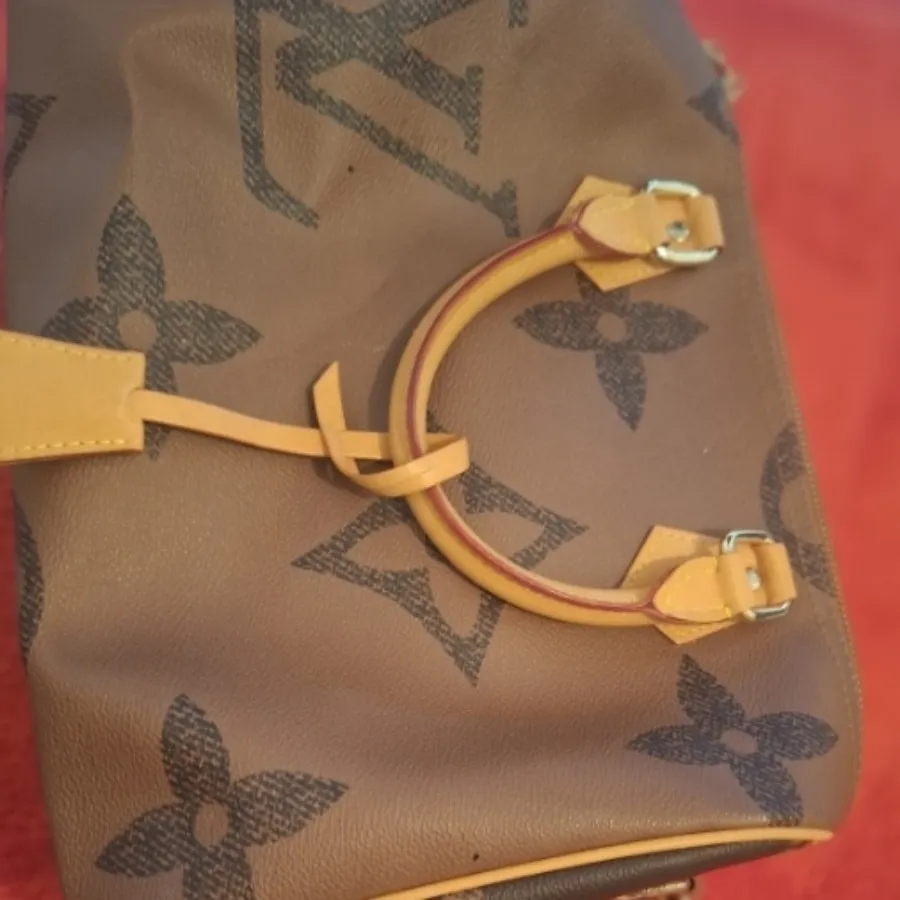 کیف لویی