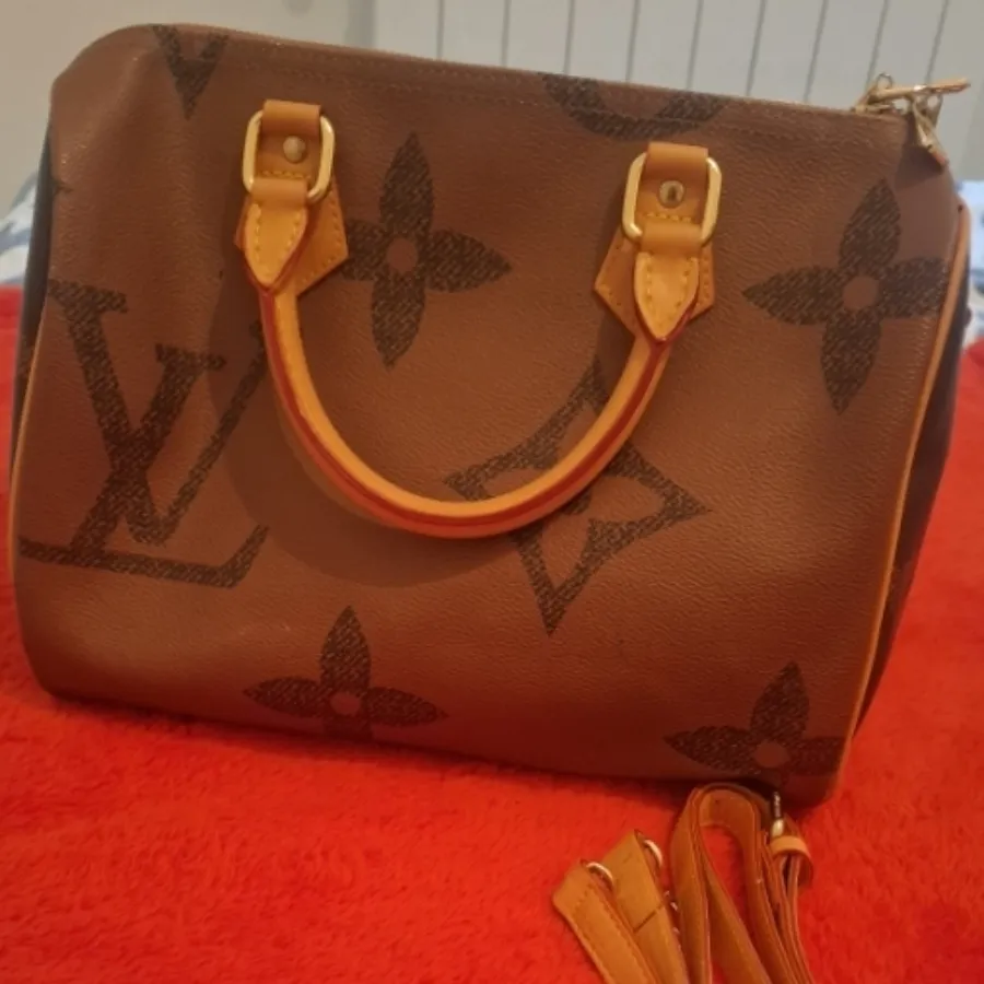 کیف لویی