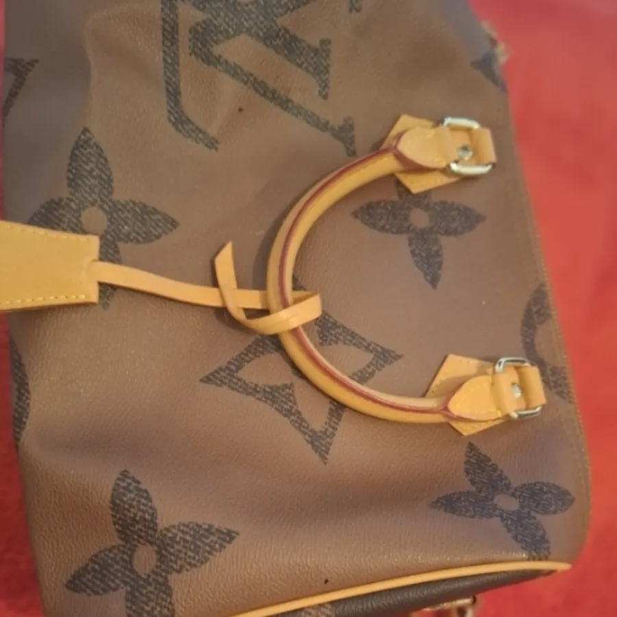 کیف لویی
