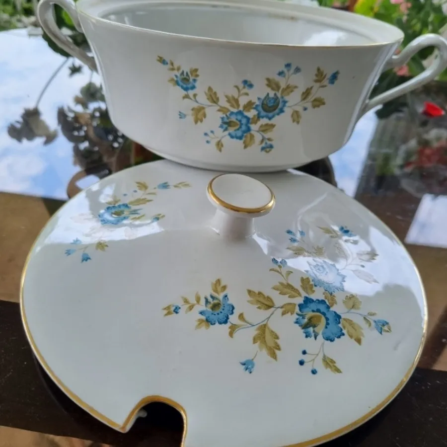 سوپینگ گل آبی قدیمی