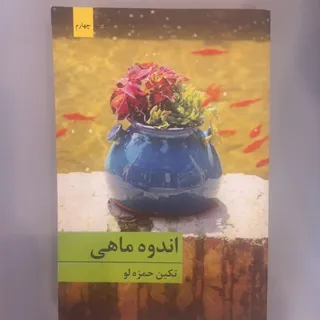 رمان اندوه ماهی