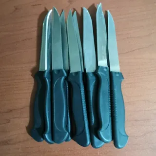 چاقو میوه خوری