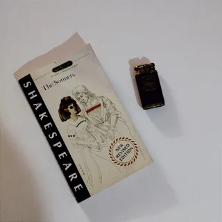 کتاب وینتج The sonnets