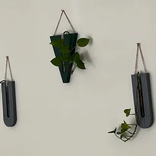 گلدان قلمه