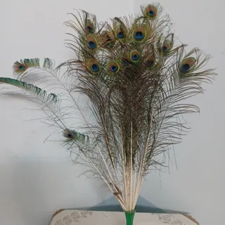 پر طاووس دکوری