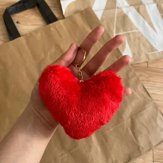 جاسوییچی قلب