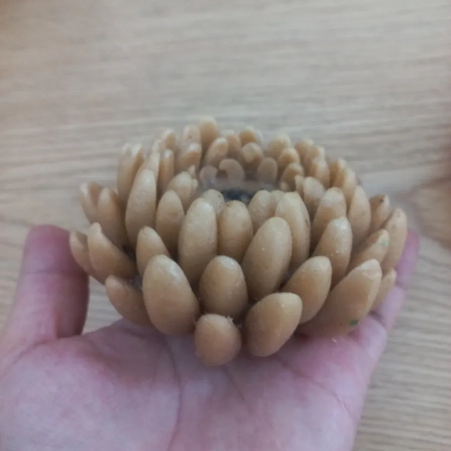 شمع طرح گل نسکافه ای