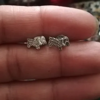 گل گوش نقره 925