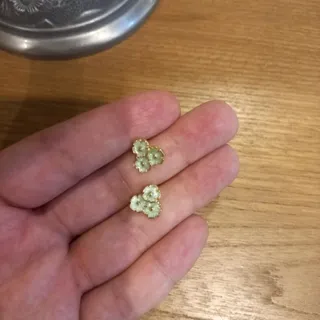 گوشواره طرح گل سبز