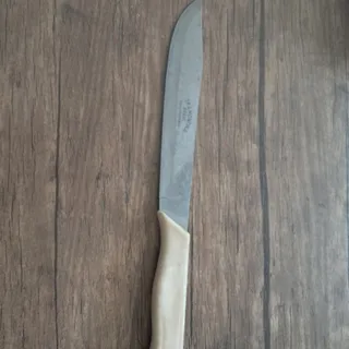چاقو اشپزخانه