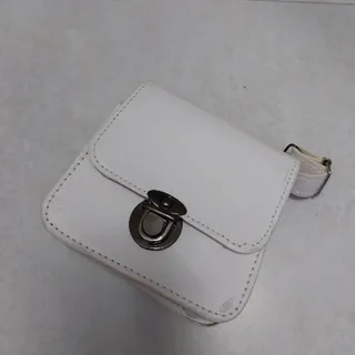 مینی بگ