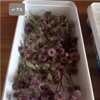 گل مصنوعی بنفش