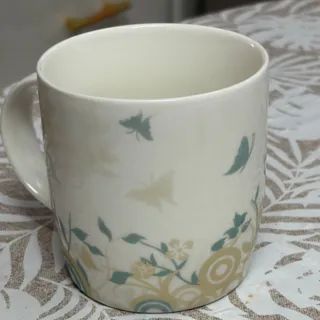 ماگ خارجی