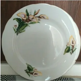 بشقاب گل شیپوری