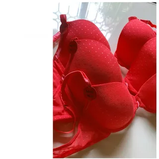 Coral Maddy Plunge Bra