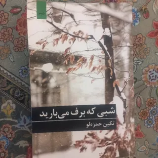 رمان ایرانی