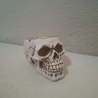 ظرف