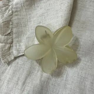 کلیپس شکوفه