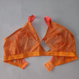 سوتین