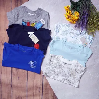 تیشرت 2تا4سال لوپیلو