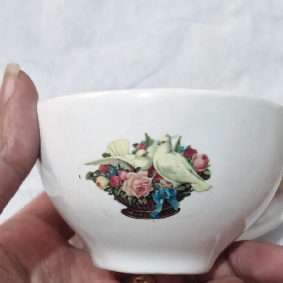 فنجان قهوه خوری کیوت
